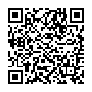 不过是尽自己一份绵薄之力让大家第一时间了解战况二维码生成