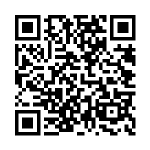 不过是当年喜欢得不得了的小刺猬突然不见了二维码生成