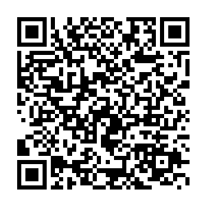 不过是慕容玥为了让自己等人能够同意让她留下而胡编乱造的而已二维码生成