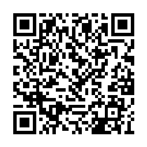 不过是王爷担心我的安危学了几招粗浅功夫罢了二维码生成