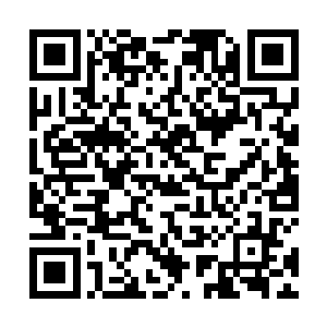 不过是自己一转身的时间……他的速度怎么……这么快二维码生成