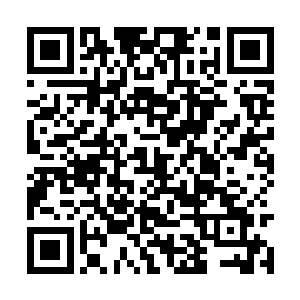 不过显然空无心和于婵也不是普通的合体境界的人二维码生成