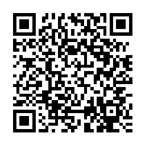 不过普林斯特很快用材料以及新订单的话题转移了她的注意力二维码生成