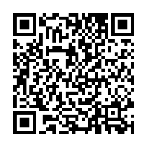 不过景帝陵的这具石棺到底是陈老爷子从哪里找来的二维码生成