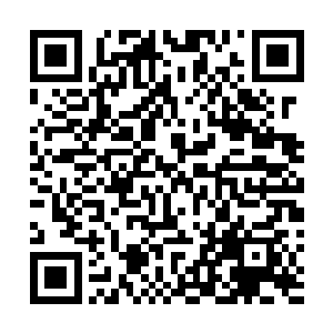 不过更多的人都在谈论着王者的实力究竟达到了何种地步二维码生成