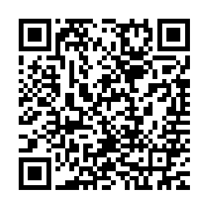 不过更多的还应该是他会很多很多游戏而且还有好脾气的原因吧二维码生成