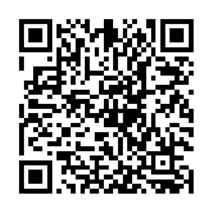 不过更多的还是对那金黄色藤蔓到底是什么的满满好奇~二维码生成