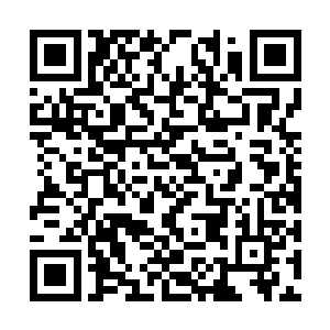 不过最值得一提的还是他的毛色……竟然是斑马纹二维码生成
