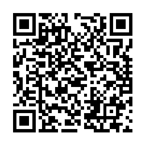 不过最基本最初期的悟道之茶虽然已经是价值超凡二维码生成