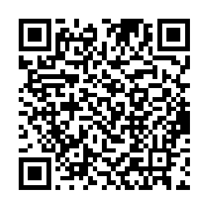 不过最怪异也是它最难对付的便是它的防御力很惊人二维码生成