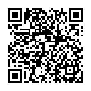 不过最终光头强的思想还是回到了两千五百万上面二维码生成