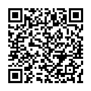 不过最重要的是九域修士对飞升修士的越级碾压二维码生成