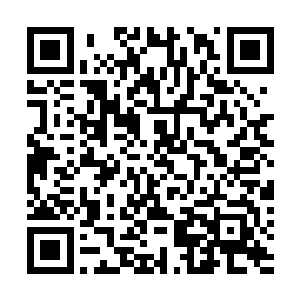 不过有资格直接差遣一位服务生来叫程守炀的却只有一位二维码生成