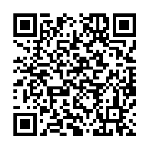 不过有这么一漂亮的美女看着贝海的好心情顿时提高了一层二维码生成