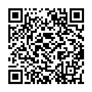 不过望向龙傲天的目光之中却是更加的怨恨起来二维码生成