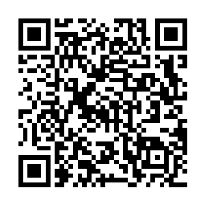 不过本来她的目的就是要混进北宁侯府或者是寒王府的二维码生成