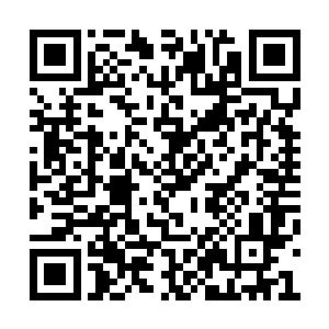 不过李诚信还不是喜欢自己和光头强在谈事情时二维码生成