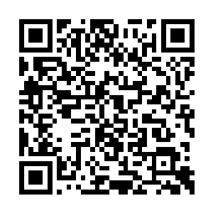 不过杨晨还是希望能够在断魂谷中遇到妖兽最好二维码生成