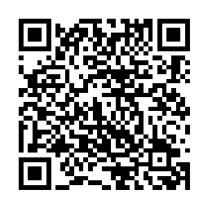 不过杰克逊的东北话还是引起来了大家相当的兴趣二维码生成