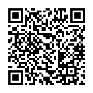 不过林义他们去焚川可不是单单为了去看考核的热闹二维码生成