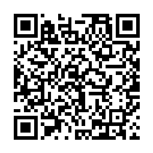 不过林光山的行事风格是尽量不和别人扯上太多的人情关系二维码生成