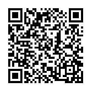 不过林家现在也不需要有什么开拓精神才华横溢的人二维码生成