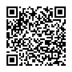 不过林烽也就是用降落伞做一做样子掩人耳目罢了二维码生成