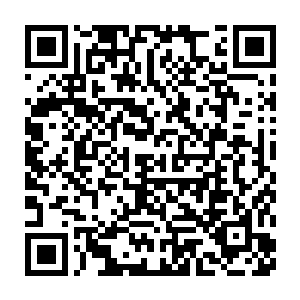 不过林辰此刻倒是有些感激那将金色木剑插入青年僵尸后背中的莫冷二维码生成