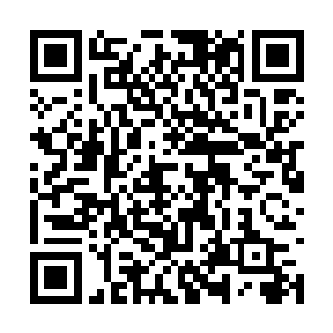 不过枯蝶至少已经知道自己接下来应该去做什么了二维码生成