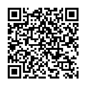 不过树妖巨人和绿树精灵的组合就是三等学徒遇上也要头疼二维码生成