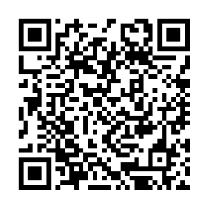 不过梓箐还是远远低估了对方所谓做宣传的魅力了二维码生成