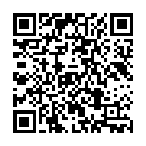 不过楚安天相信同一个地方那神秘人应该不会只去一次二维码生成