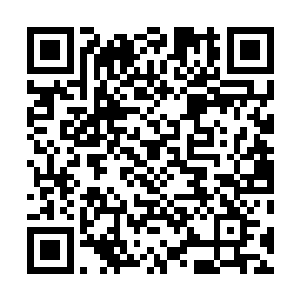 不过横竖最近也没什么人真将他的血手人屠当成过一回事二维码生成