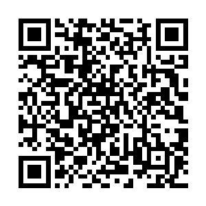 不过正常情况下来说汪念林的父亲肯定早已经疼晕过去了二维码生成