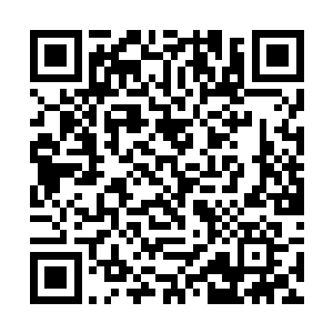 不过此刻她似乎还没有完全从震惊和激动中回过神来二维码生成