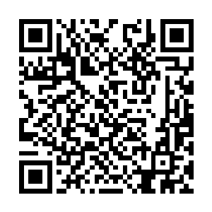 不过此刻的月季跟他们当初认识的月季完全不一样二维码生成