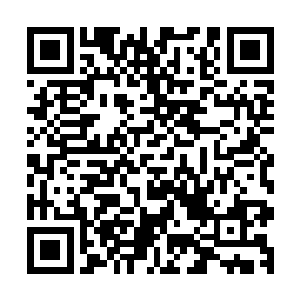 不过此刻盛怒之中的双子神却仿佛根本没有在意这些痛苦一样二维码生成