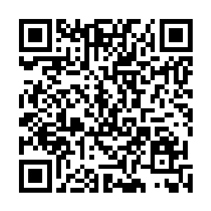 不过此时杨戬几个人根本就没有兴趣查看这个地方的灵气二维码生成