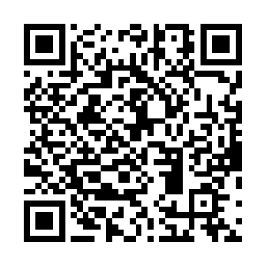 不过此时杨戬的心中却已经被龙族的恐怖的实力给震惊了二维码生成