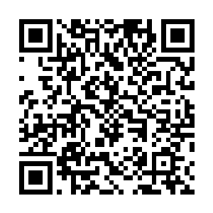 不过此时的紫衣人此时已经被眼前的收获有些冲昏了头脑二维码生成