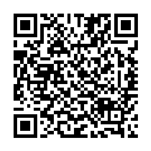 不过每一个人物都有可以一跺脚就让整个x市颤三颤的能力二维码生成