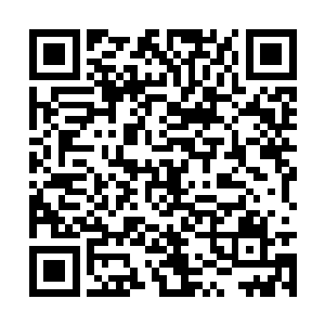 不过比起中原大陆的一些寻常阵法已经要好上不少二维码生成