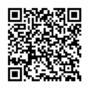 不过毕竟和幻灭星辰炮的炮弹差了不是一点半点二维码生成