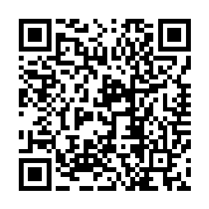 不过江少游和全华夏最好的骨科大师学过一点儿正骨的技巧二维码生成