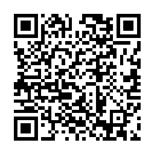 不过池佳一倒是知道了为什么黑心老人使用嗜血珠没有戾气二维码生成