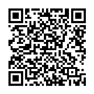 不过沙漠当中的恶劣环境还是给艾勒莉上了非常生动的一课二维码生成