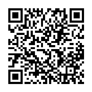 不过没想到还没等我下床呢你的手忽然抓住了我的衣服二维码生成