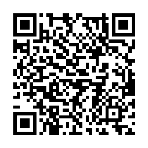 不过洛倾婉这样没有内力的凡人是无法化为已用的二维码生成