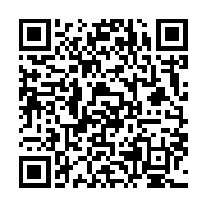 不过流墨墨两人也得到了一些金龙认为不怎么重要的情报二维码生成
