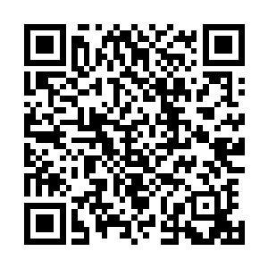 不过流墨墨只控制着那缕神识释放出一丝血妖姬之力的气息二维码生成